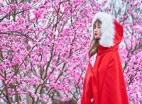 花星球新春鹿岛游园会盛大开园！全国女士门票免费送！