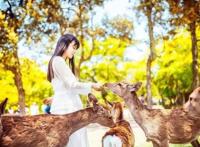 花星球新春鹿岛游园会盛大开园！全国女士门票免费送！