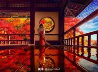 二次元动漫壁纸唯美壁纸