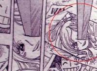 海贼王908话：白星被天龙人抹杀，薇薇拥有古代兵器“冥王”！