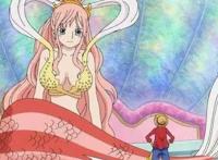 海贼王：白星非常喜欢路飞，卡普对白星也很满意！路帝党要凉了！