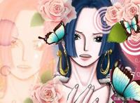 海贼王：全面对比女帝和白星，难怪卡普看好白星当孙媳