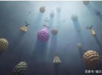 海贼王：8大超人系恶魔果实3个被乌索普打败