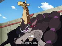 草帽团合体过三次，索隆对乌索普连哄带骗，最后连罗宾也未能幸