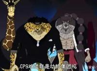《海贼王》CP9已经成为了CP0,盘点CP9成员