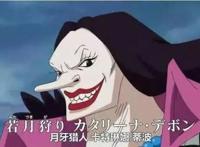 海贼王：假如把你丢荒岛三年，这6个女的选一个带着，老实人选5