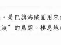 「整理」海贼王SBS中出现的奇怪角色、鲜有人知的角色