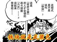 海贼王吃设定之一，长篇作品的通病，海军六式铁块就是武装色