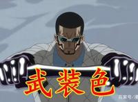 海贼王吃设定之一，长篇作品的通病，海军六式铁块就是武装色