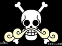 海贼王：尾田公布，海贼王罗杰的全部船员，实力强悍，傲视一方