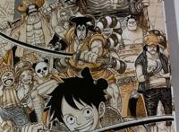海贼王哥尔·D·罗杰船员公开-漫画96卷公开共有28人