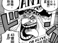 洛克斯海贼团，神秘的强者们！