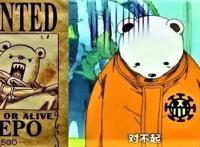 海贼王中四张特殊悬赏令，两个性价比极高，最后一个是谜