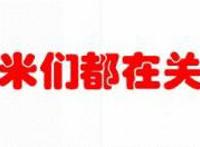 海贼王：喂，是蒙奇D黄猿吗？这里有277万人参与全平台通缉你