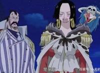 海贼王：波雅汉库克！开什么玩笑！美丽就可以为所欲为了？