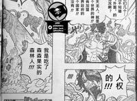 海贼王1054话汉化，萨博杀害寇布拉成炎帝，桃之助对决大将绿牛