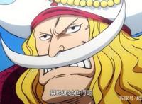 海贼王两大钢铁直男，白胡子和御田，面对美女天月时一脸嫌弃