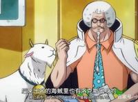 海贼王：藤虎一笑，改名为‘藤虎一生’，好Low