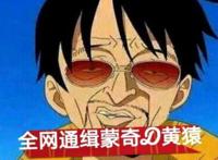 海贼王：黄猿是路飞的舅舅真相揭秘，他其实并不是革命军的卧底！