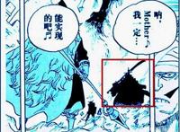 海贼王和之国篇：此人是被四皇大妈舍弃的将星，曾与卡塔库栗齐名