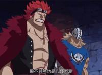 海贼王：超新星最后都沦落什么下场？凯多和路飞一人拿一半