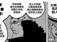 海贼王：乔艾莉·波妮竟然是暴君熊的母亲，信息量太大