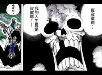海贼王的布鲁克，岁数那么大了，为什么他没把果实能力开发觉醒