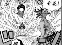 海贼王1020话更新，罗宾对战黑玛利亚，罗宾：别忘了我是恶魔之子