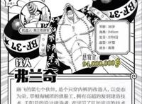 海贼王：草帽团成员的信息，原来罗宾这么老，娜美差点就是00后了
