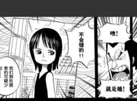 《海贼王》为什么世界政府抓不到年幼的罗宾？