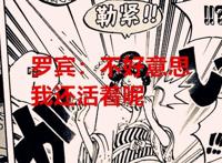 海贼王1037话：五老星凭啥觉得罗宾已经被捉了？凯多又翻白眼了