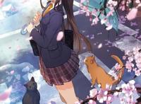 动漫少女：超美壁纸推荐，猫咪女孩系列，一起学猫叫吧！