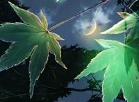 动漫壁纸丨新海诚动漫每一帧都可以拿来当成手机壁纸