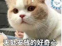 一键在线生成！微信漫画卡通风头像，看看二次元的你长什么样子