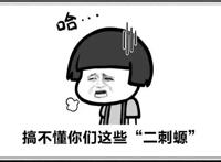 “二刺螈”、“二次猿”，贬义化的二次元，让人越来越不敢承认