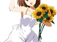 二次元夏季少女壁纸最后夏天的美丽邂逅