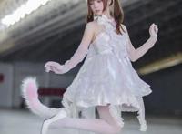 cosplay|二次元cos小美女丨闪闪发光的小猫咪