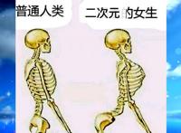 我要去二次元世界7日游，临走前，还想带走一个动漫老婆，可以吗