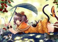 二次元美女之最美猫耳娘，有你喜欢的角色吗？