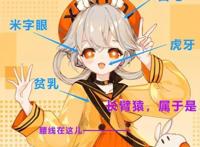 二次元虚拟形象瞄准了宅男的钱包