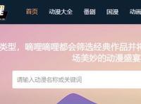 二次元并非法外之地，某些二次元软件是该处理处理了
