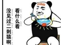 二次元，二刺猿？傻傻分不清