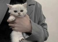 QQ男生头像2022年最流行男生动漫帅气头像大全