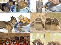 动漫P图、画画大赏：“比比舞”性感，老虎拟人我“fu”了