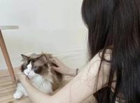 潮流男头女头，动漫潮头。(要想谈恋爱，头像要换快！)