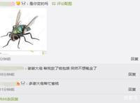 第五人格：调香师稀世时装上线，网友这波评论让数万玩家不再氪金
