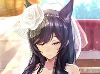 碧蓝航线国际服婚纱皮肤TOP10：原来欧美玩家最喜欢欧根和企业