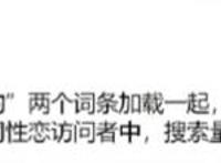 P站公布年度榜单！原来lsp最爱看的是这种……