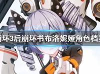 《崩坏3》后崩坏书布洛妮娅人物背景后崩坏书布洛妮娅角色档案