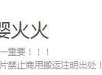 第五人格漫画：宿伞之魂抓到卡尔先生了！